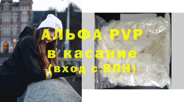 сатива Лихославль