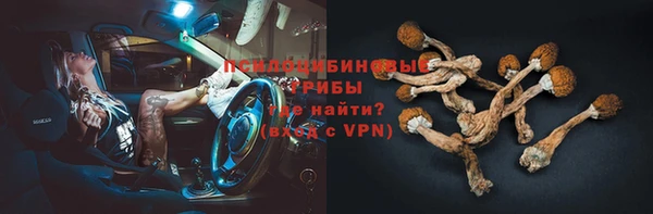 ПСИЛОЦИБИНОВЫЕ ГРИБЫ Лиски