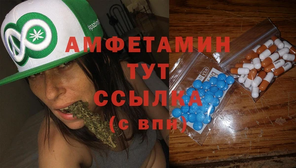 ПСИЛОЦИБИНОВЫЕ ГРИБЫ Лиски