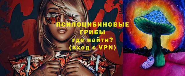сатива Лихославль
