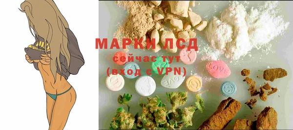 сатива Лихославль