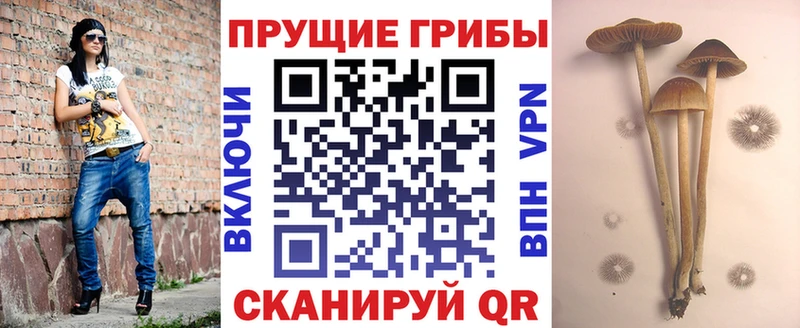 OMG зеркало  Строитель  Галлюциногенные грибы мухоморы 