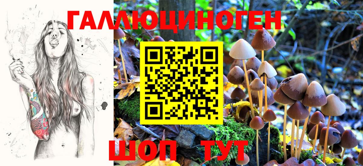 Галлюциногенные грибы ЛСД Строитель