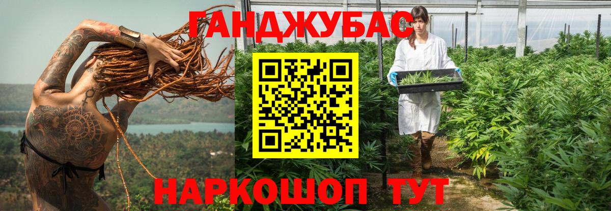 Шишки марихуана семена  Вход с VPN  Бошки Шишки планчик  Каннабис гибрид  Строитель 